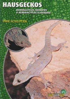 Hausgeckos (eBook, ePUB) - Schlüter, Uwe