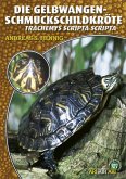 Die Gelbwangen-Schmuckschildkröte (eBook, ePUB)