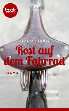 Rost auf dem Fahrrad (eBook, ePUB) - Louis, Saskia