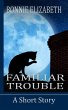 Familiar Trouble (eBook, ePUB) - Bild 1
