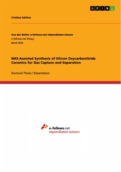 NH3-Assisted Synthesis of Silicon Oxycarbonitride Ceramics for Gas Capture and Separation - Schitco, Cristina