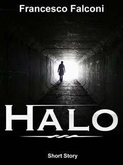 Cover Halo (eBook, ePUB)