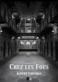 Chez les Fous (eBook, ePUB)