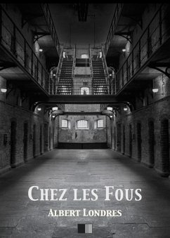 Chez les Fous (eBook, ePUB) - Londres, Albert