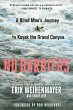 No Barriers (eBook, ePUB) - Bild 1