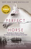 The Perfect Horse (eBook, ePUB)