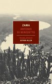 Zama (eBook, ePUB)