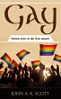 Gay: Homo zijn in de 21e eeuw (eBook,... - Bild 1