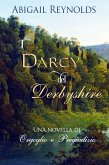 I Darcy del Derbyshire (eBook, ePUB)