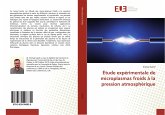 Étude expérimentale de microplasmas froids à la pression atmosphérique