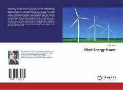 Wind Energy Issues