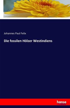 Die fossilen Hölzer Westindiens - Felix, Johannes Paul