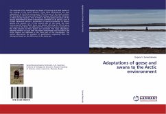 Adaptations of geese and swans to the Arctic envinronment