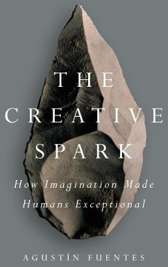 The Creative Spark - Fuentes, Agustín