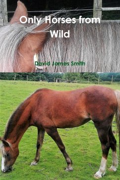 Only Horses from Wild - Smith, David James