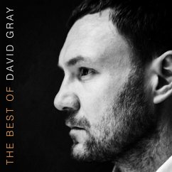 Cover The Best Of David Gray