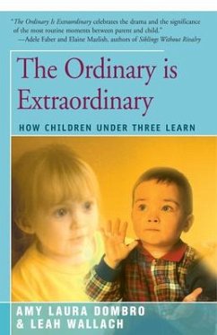 The Ordinary is Extraordinary - Dombro, Amy Laura; Wallach, Leah