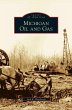 Michigan Oil and Gas - Bild 1
