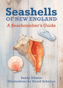 Seashells of New England - Allison, Sandy