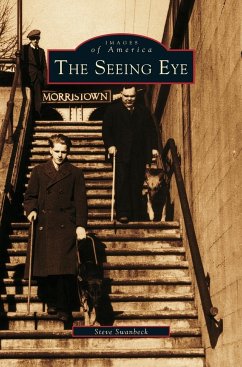 Seeing Eye - Swanbeck, Steve