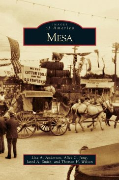 Mesa - Anderson, Lisa A.; Jung, Alice C.; Smith, Jared A.