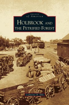 Holbrook and the Petrified Forest - Ellis, Catherine H.