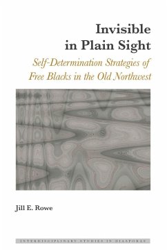 Invisible in Plain Sight - Rowe, Jill E.