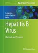 Hepatitis B Virus - Bild 1