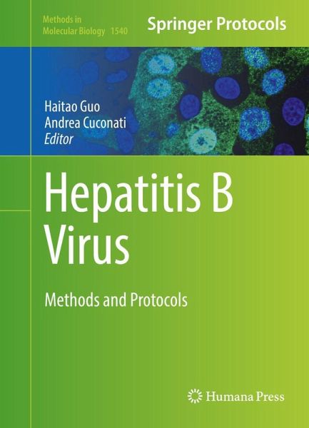 Hepatitis B Virus