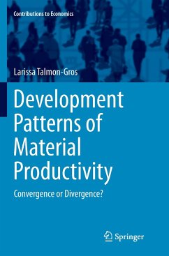 Development Patterns of Material Productivity - Talmon-Gros, Larissa