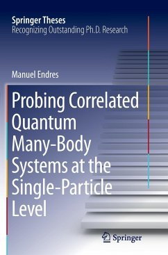 Probing Correlated Quantum Many-Body Systems at the Single-Particle Level - Endres, Manuel