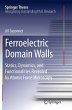 Ferroelectric Domain Walls - Bild 1