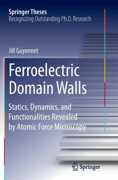 Ferroelectric Domain Walls - Guyonnet, Jill