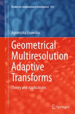 Geometrical Multiresolution Adaptive Transforms - Lisowska, Agnieszka