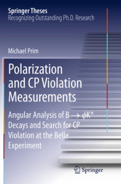 Polarization and CP Violation Measurements - Prim, Michael