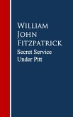 Secret Service Under Pitt (eBook, ePUB)