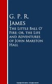 The Little Ball O' Fire; or, the Life and ures of John Marston Hall (eBook, ePUB)