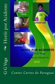Heroi por Acidente (eBook, ePUB)