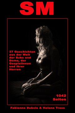 SM - 37 Geschichten aus der Welt der Subs und Doms, der Gespielinnen und ihrer Herren (eBook, ePUB) - Dubois, Fabienne