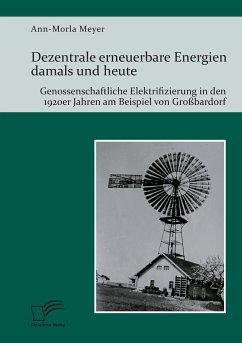 Dezentrale erneuerbare Energien damals und heute. Genossenschaftliche Elektrifizierung in den 1920er Jahren am Beispiel von Großbardorf - Meyer, Ann-Morla
