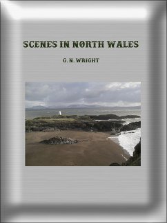 Scenes in North Wales (eBook, ePUB) - N. Wright, G.