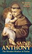 St. Anthony (eBook, ePUB) - Bild 1