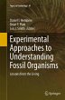 Experimental Approaches to... - Bild 1