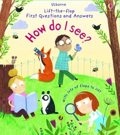 First Questions and Answers: How do I see? - Daynes, Katie