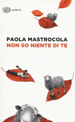 Cover Non so niente di te
