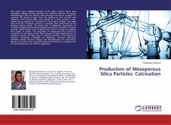 Production of Mesoporous Silica Particles: Calcination