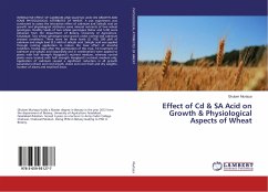 Effect of Cd & SA Acid on Growth & Physiological Aspects of Wheat - Murtaza, Ghulam