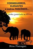 Formigueiros, Elefantes e outros Fascínios... minha juventude na África (eBook, ePUB)