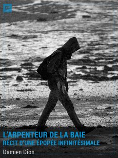 L'Arpenteur de la Baie (eBook, ePUB) - Dion, Damien