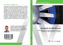Sensorik im Windkanal - Walter, Thomas